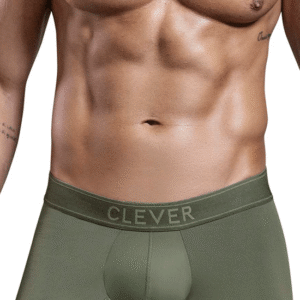 shorty's vert moderne