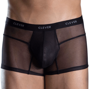 Lingerie-univers 1673 trunks noir