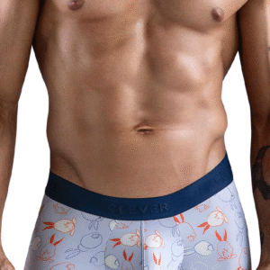 Lingerie-univers trunks bleus