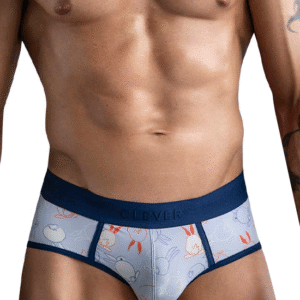 Lingerie-univers 1724 Coney Briefs Blue