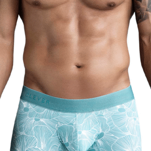 Lingerie-univers Rose Trunks