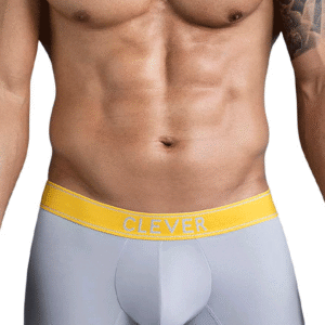 Lingerie-univers 1755 Trunks gris