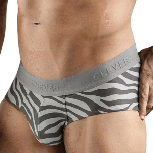 Lingerie-univers 1801 Cebra Briefs Gris