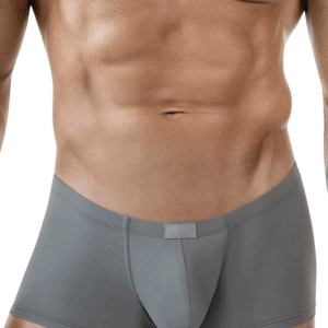 Lingerie-univers 1842 Trunks gris