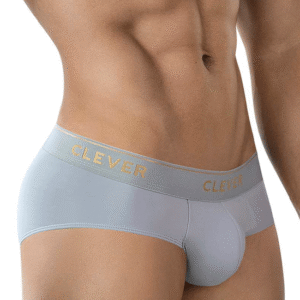 Lingerie-univers 2028 Briefs Gray