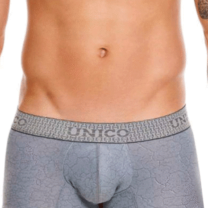 boxer gris élégant