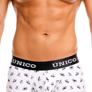 Lingerie-univers Frenchis Trunks 00 blanc