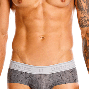 Lingerie-univers 25050101103 Chisell Briefs gris