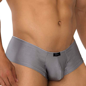 Lingerie-univers 91180 Trunks argent