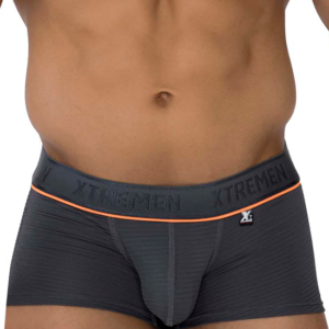 trunks gris Lingerie-univers