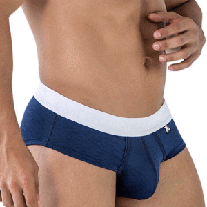 Lingerie-univers 91242 Microfiber Briefs