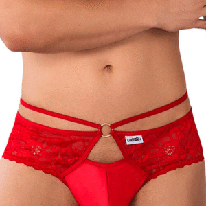 Lingerie-univers 99647 en dentelle rouge