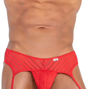 Lingerie-univers Mesh Garter Thongs