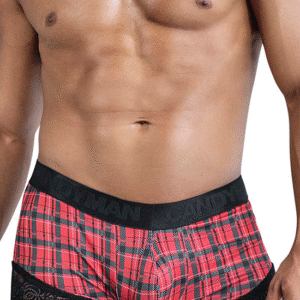Lingerie-univers trunk rouge carreaux