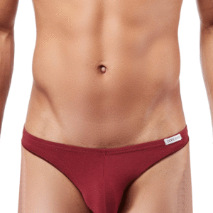 Lingerie-univers 1392 Euro Thong In Bordeaux