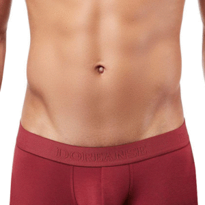 Lingerie-univers trunk bordeaux