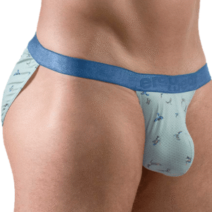 Lingerie-univers bikini oiseaux