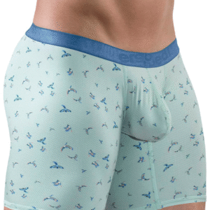 boxer Lingerie-univers motifs oiseaux