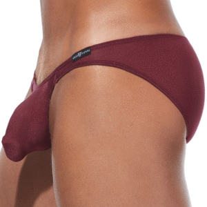 Lingerie-univers Torridz Brief 87403 en bourgogne