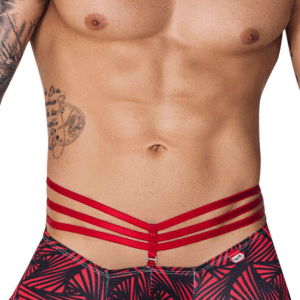 Lingerie-univers fiery trunks
