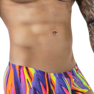 Lingerie-univers 1828 Trunks pourpre abstrait