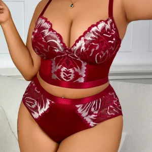 Ensemble de lingerie minimiseur grande taille, soutien-gorge push-up et culotte brodés rouge foncé sexy