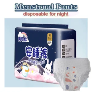 Lot de 20 culottes menstruelles jetables pour femmes (2 sachets), absorption rapide, culottes post-partum, protections pour incontinence adulte, couches pour adultes